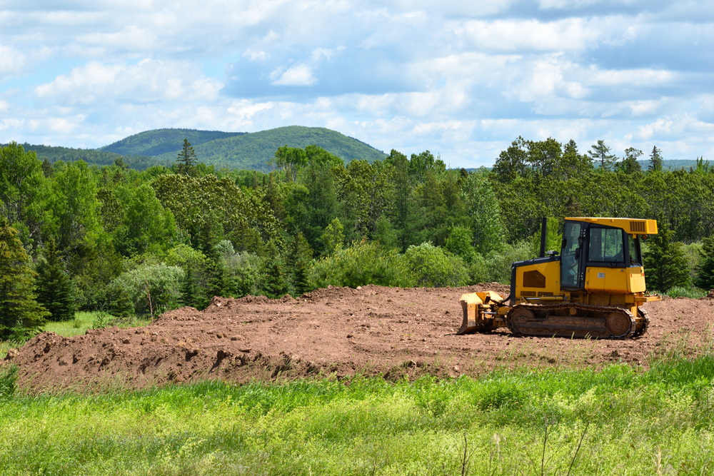 Newburgh property cleared for future driveway extension and backyard improvement project