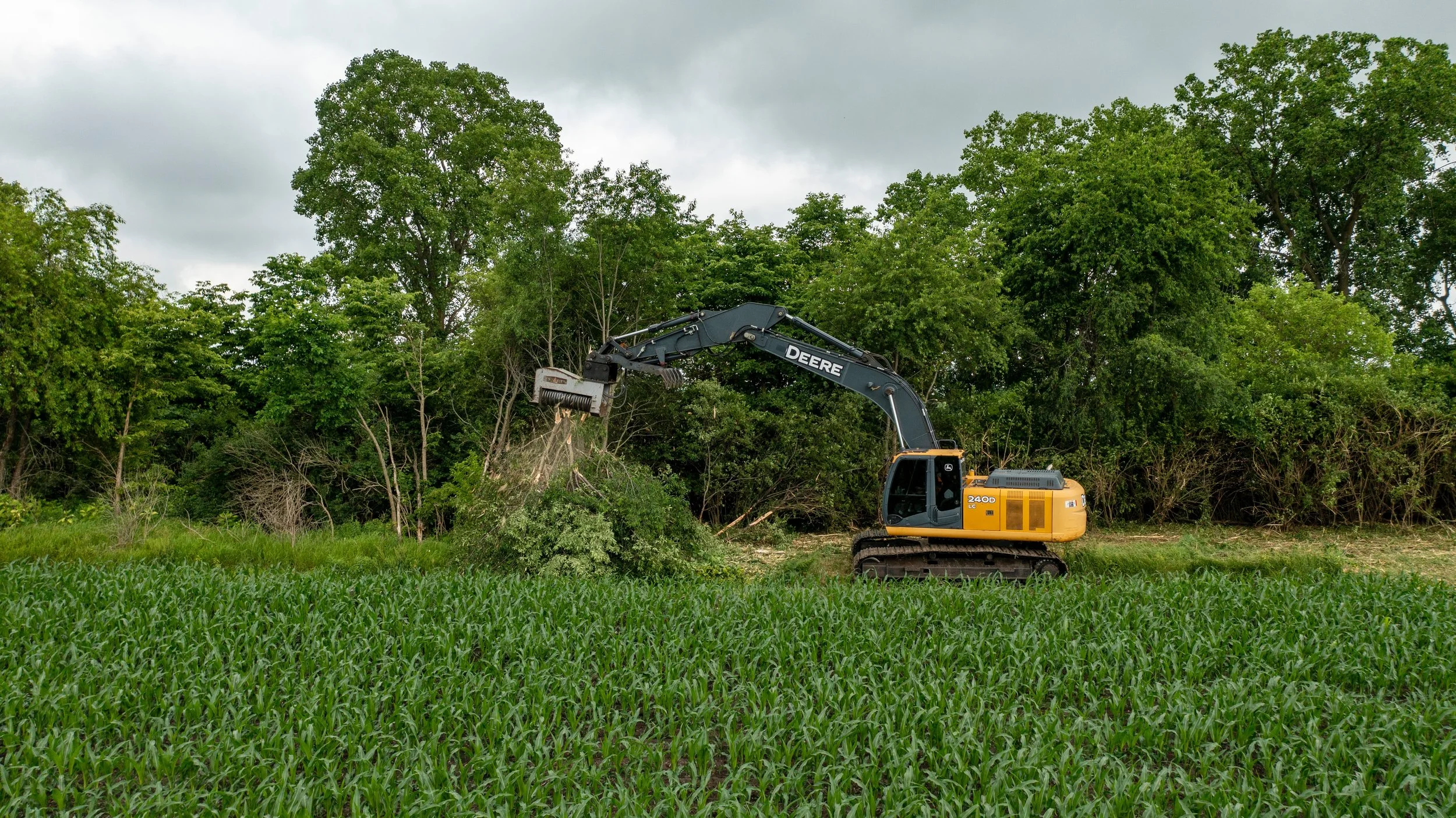 Operator removing dense brush from overgrown backyard edge beside fence