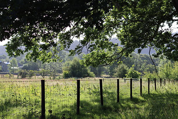 Skilled operator clearing overgrowth tightly along fence posts and boundary line