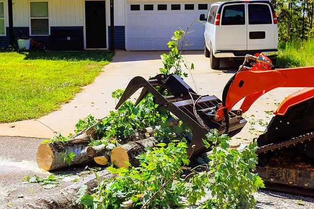 Experienced operator removing hazardous fallen limbs with storm cleanup equipment