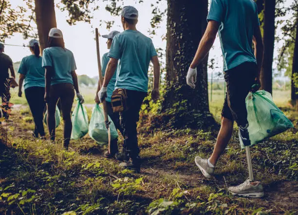 Crew clearing narrow overgrown path through wooded Evansville property