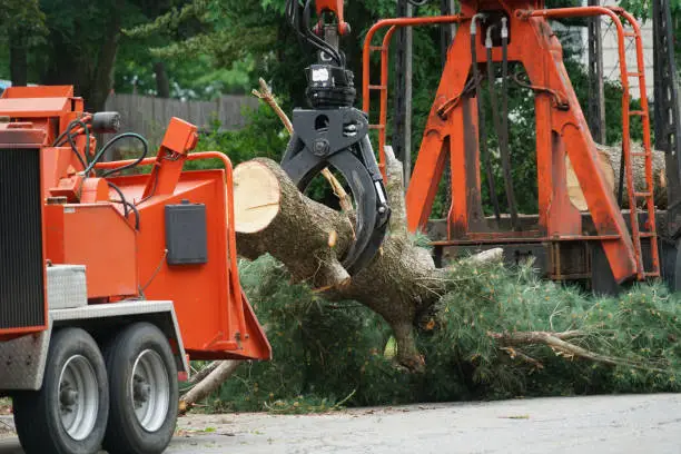 Crew sectioning down storm-damaged tree beside detached garage on suburban property