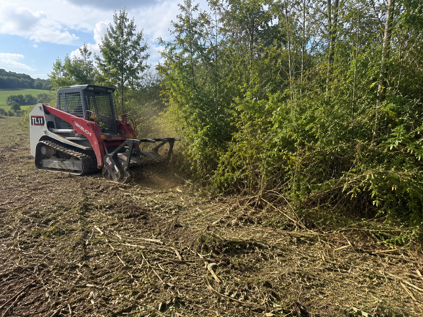 Mulching machine clearing dense brush along overgrown Evansville property line
